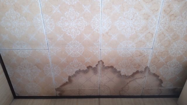 天井や壁に現れる「シミ・変色」