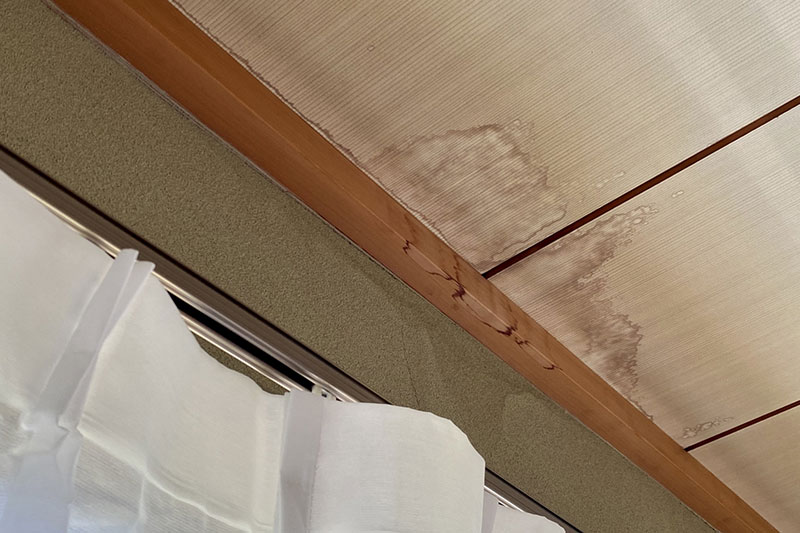 雨漏りかも?と思ったら、戸建て住宅オーナーが知っておきたい原因・サイン・解決策