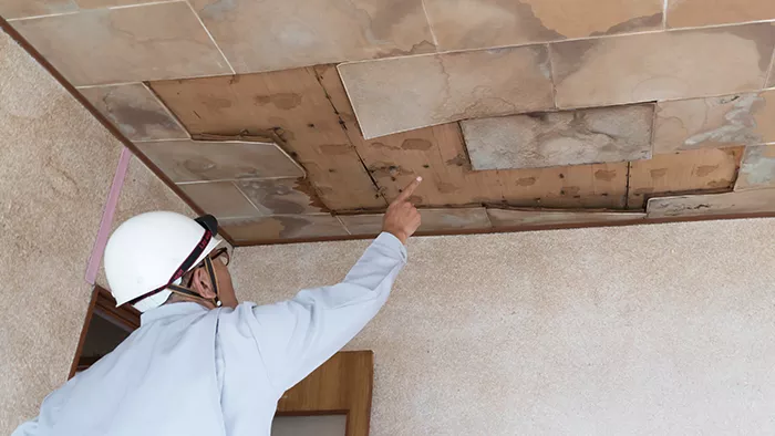 雨漏り診断・調査・試験