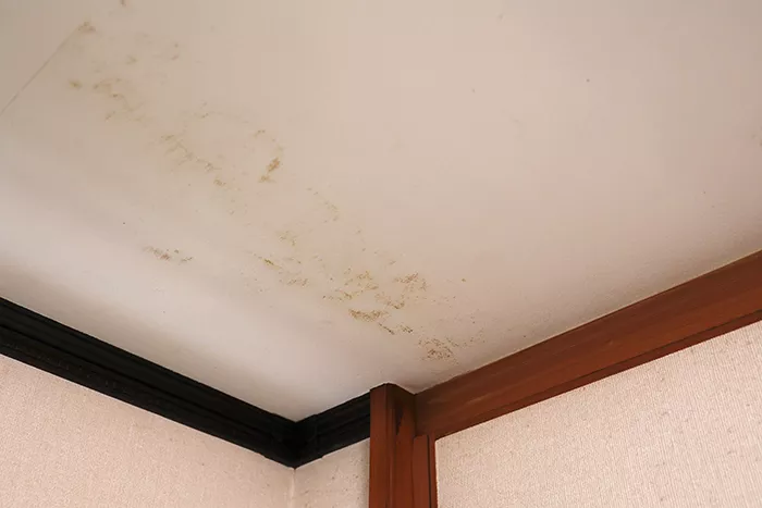 天井クロスのシミ